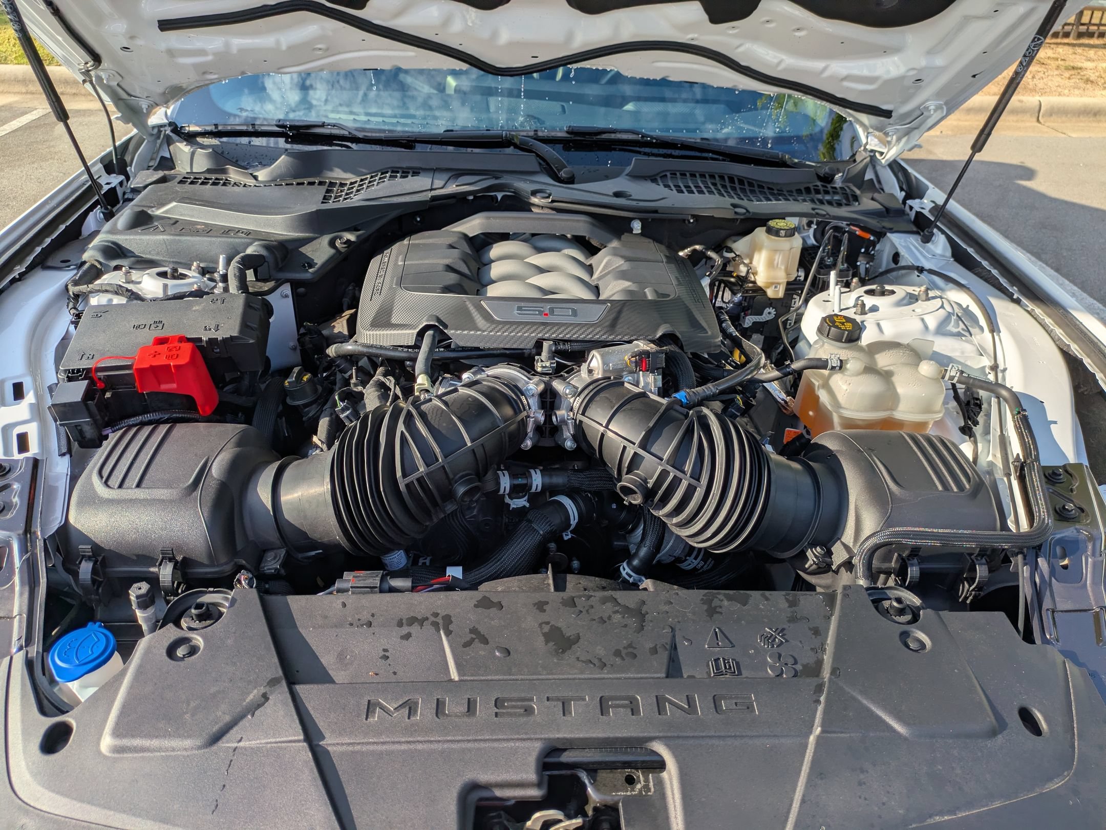 Certified 2024 Ford Mustang GT Premium RWD image 36