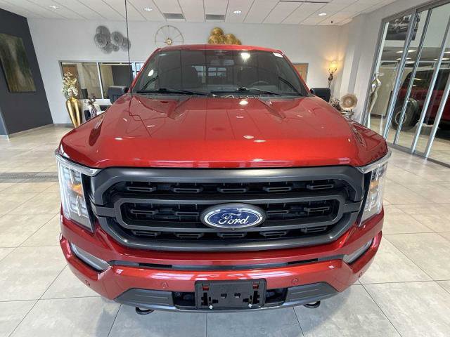 Certified 2023 Ford F150 XLT w/ Equipment Group 302A High image 8