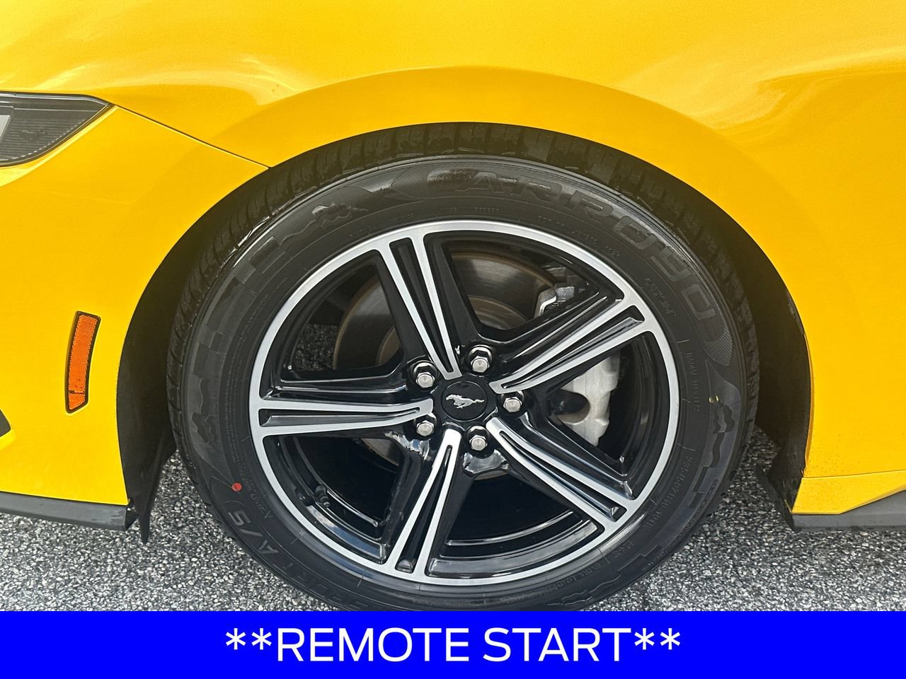 Certified 2024 Ford Mustang Premium RWD image 13