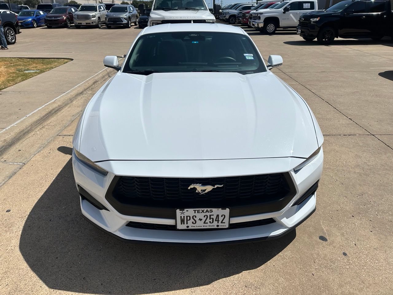 Certified 2025 Ford Mustang Coupe RWD image 2