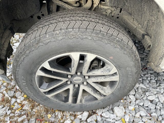 Certified 2023 Ford F150 XL w/ STX Appearance Package AWD/4WD image 3