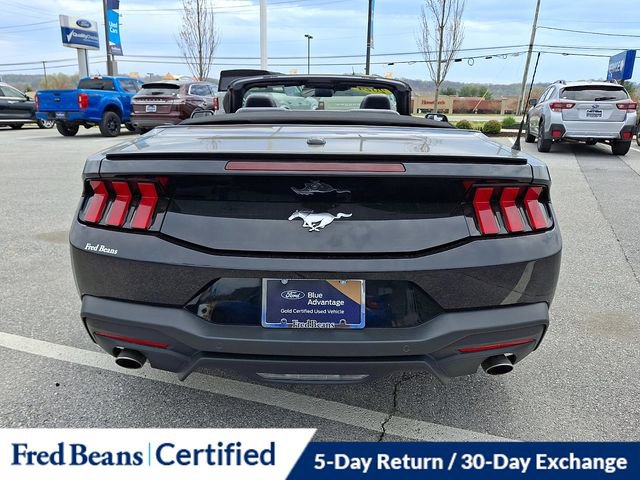 Certified 2024 Ford Mustang Premium RWD image 10
