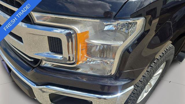 Certified 2019 Ford F150 XLT AWD/4WD image 19