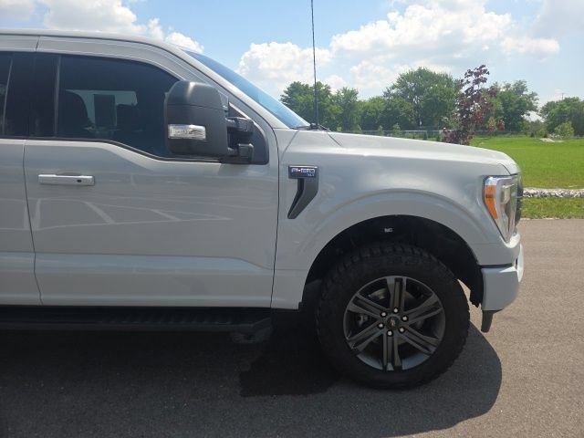 Certified 2023 Ford F150 XLT w/ Equipment Group 302A High AWD/4WD image 4