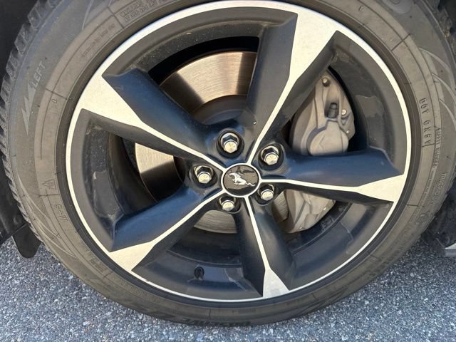 Certified 2019 Ford Mustang GT w/ Equipment Group 301A RWD image 13