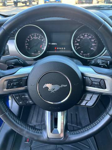 Certified 2019 Ford Mustang GT Premium w/ Enhanced Security Package RWD image 3