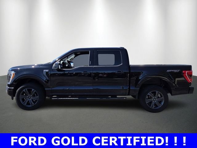 Certified 2023 Ford F150 XLT w/ Equipment Group 302A High image 2