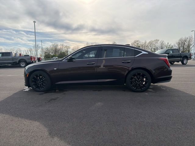 Used 2021 Cadillac CT5 Premium Luxury video 2