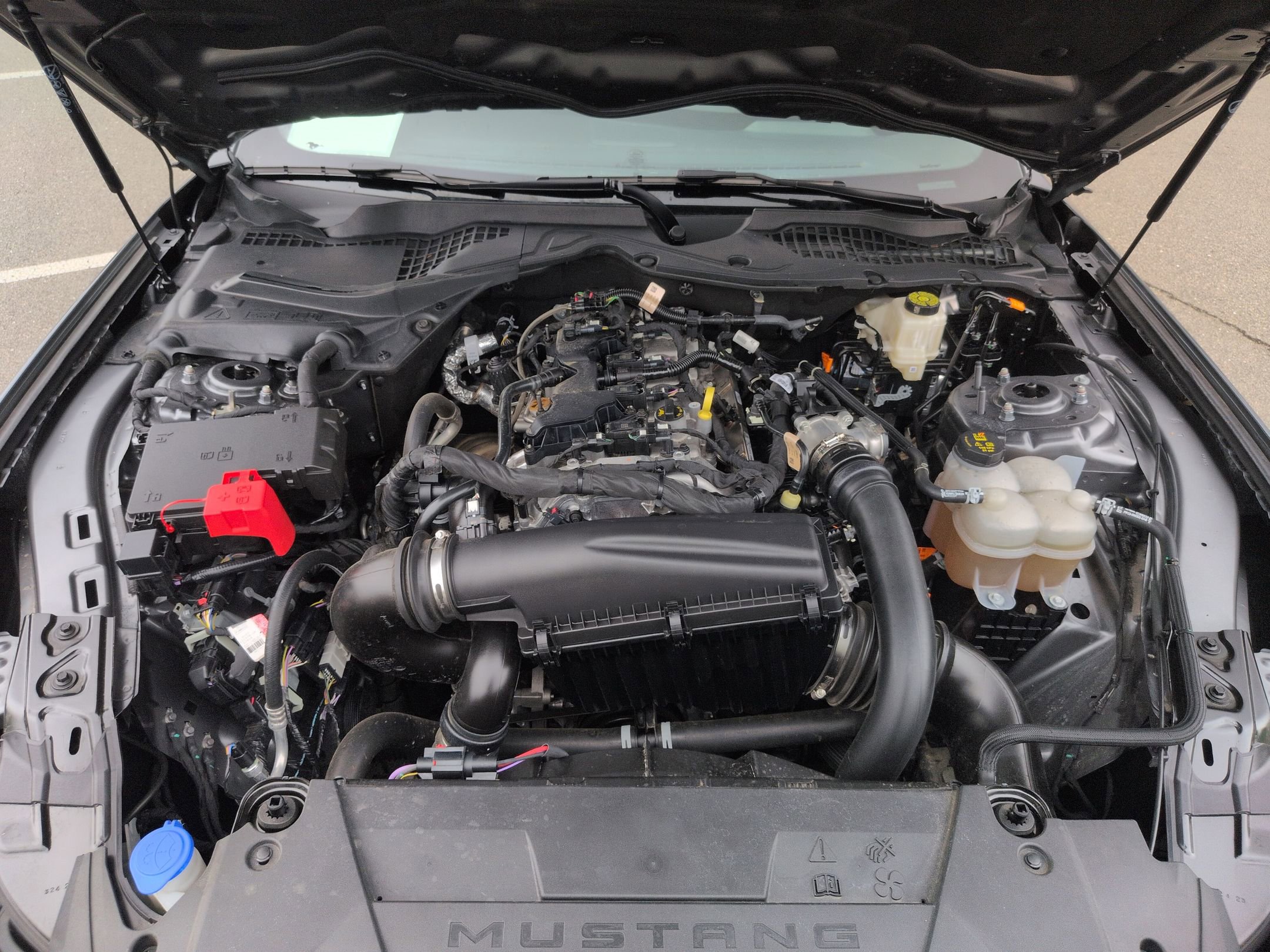 Certified 2024 Ford Mustang Premium RWD image 36