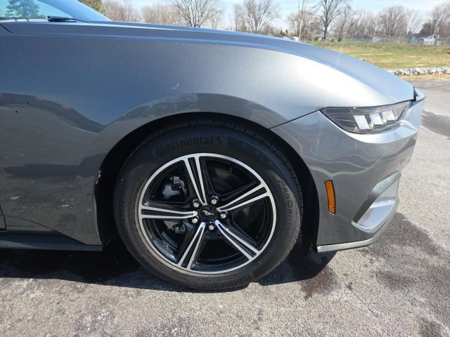 Certified 2025 Ford Mustang Premium image 8