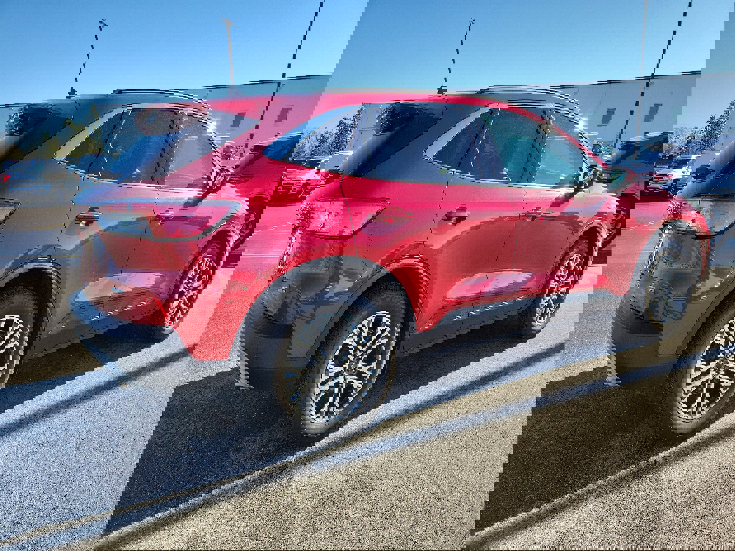 Certified 2020 Ford Escape SEL image 3