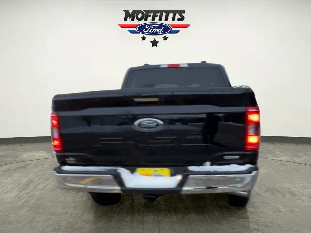 Certified 2023 Ford F150 XLT w/ Equipment Group 302A High image 4
