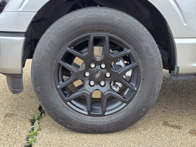 Certified 2024 Ford F150 STX w/ STX Black Appearance Package RWD image 31