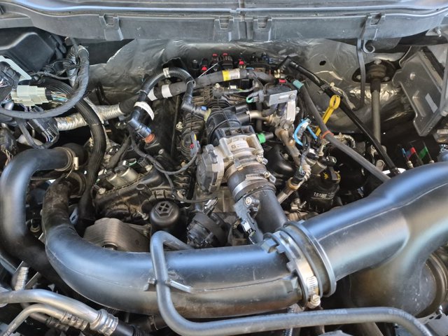 Certified 2023 Ford F150 XL w/ STX Appearance Package AWD/4WD image 35