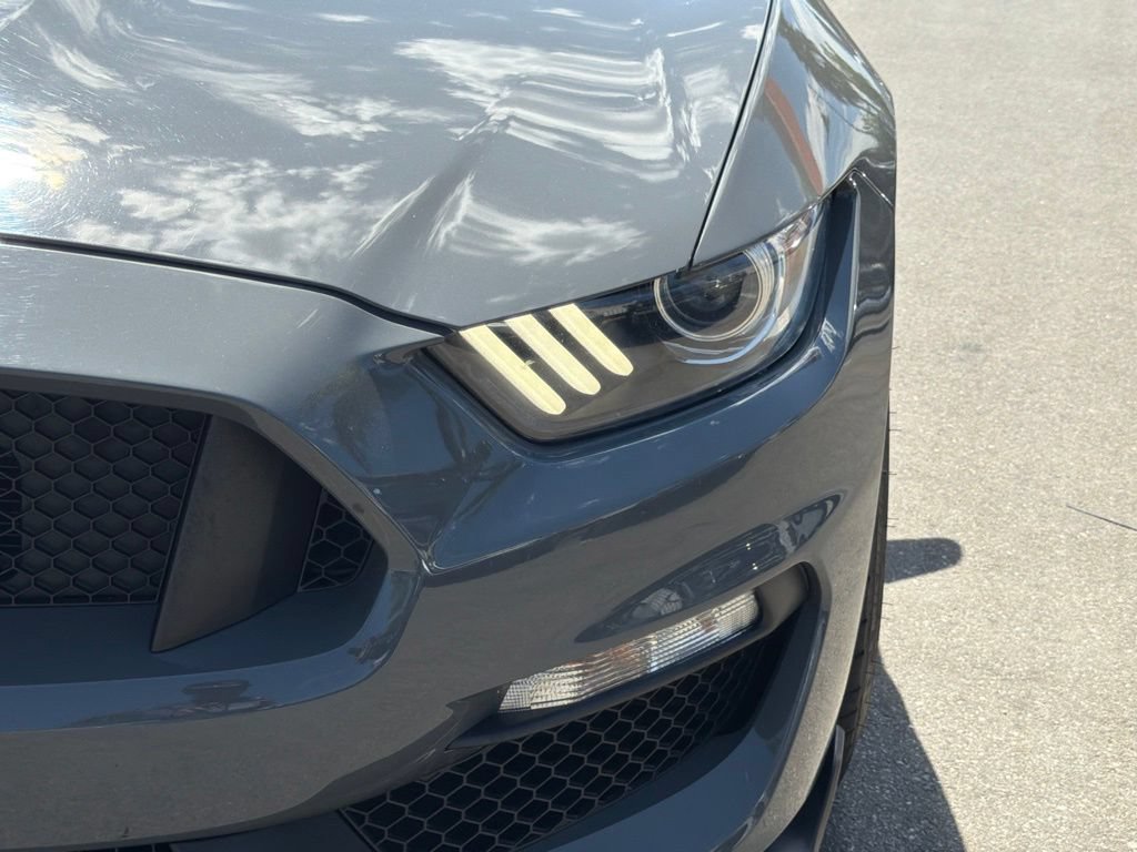 Certified 2018 Ford Mustang Shelby GT350 w/ Convenience Package RWD image 14