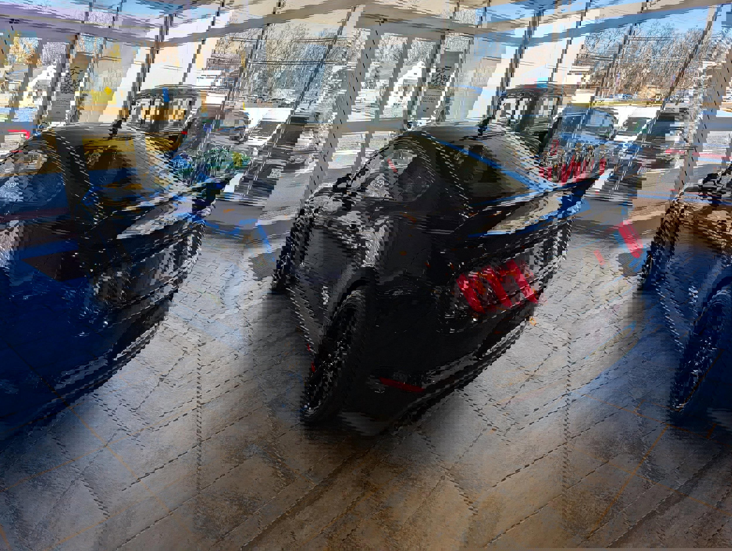 Certified 2020 Ford Mustang Shelby GT350R w/ GT350R Equipment Group 920A image 4