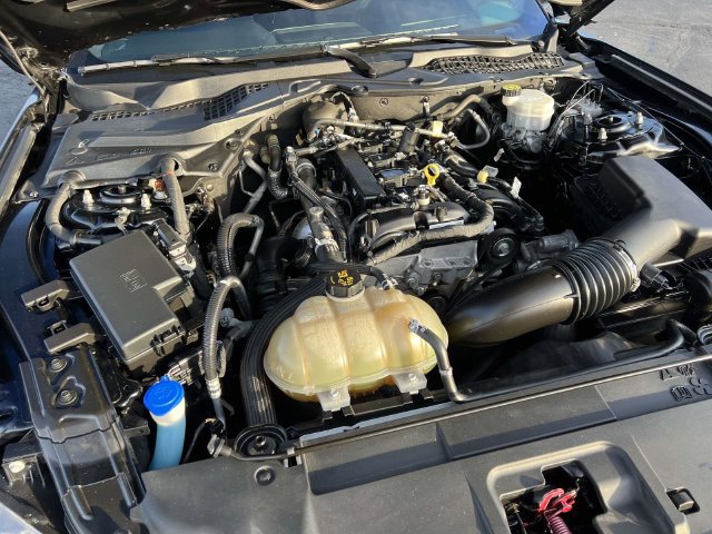 Certified 2021 Ford Mustang Premium w/ Pony Package RWD image 11
