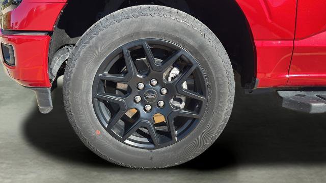 Certified 2024 Ford F150 STX w/ STX Black Appearance Package image 14