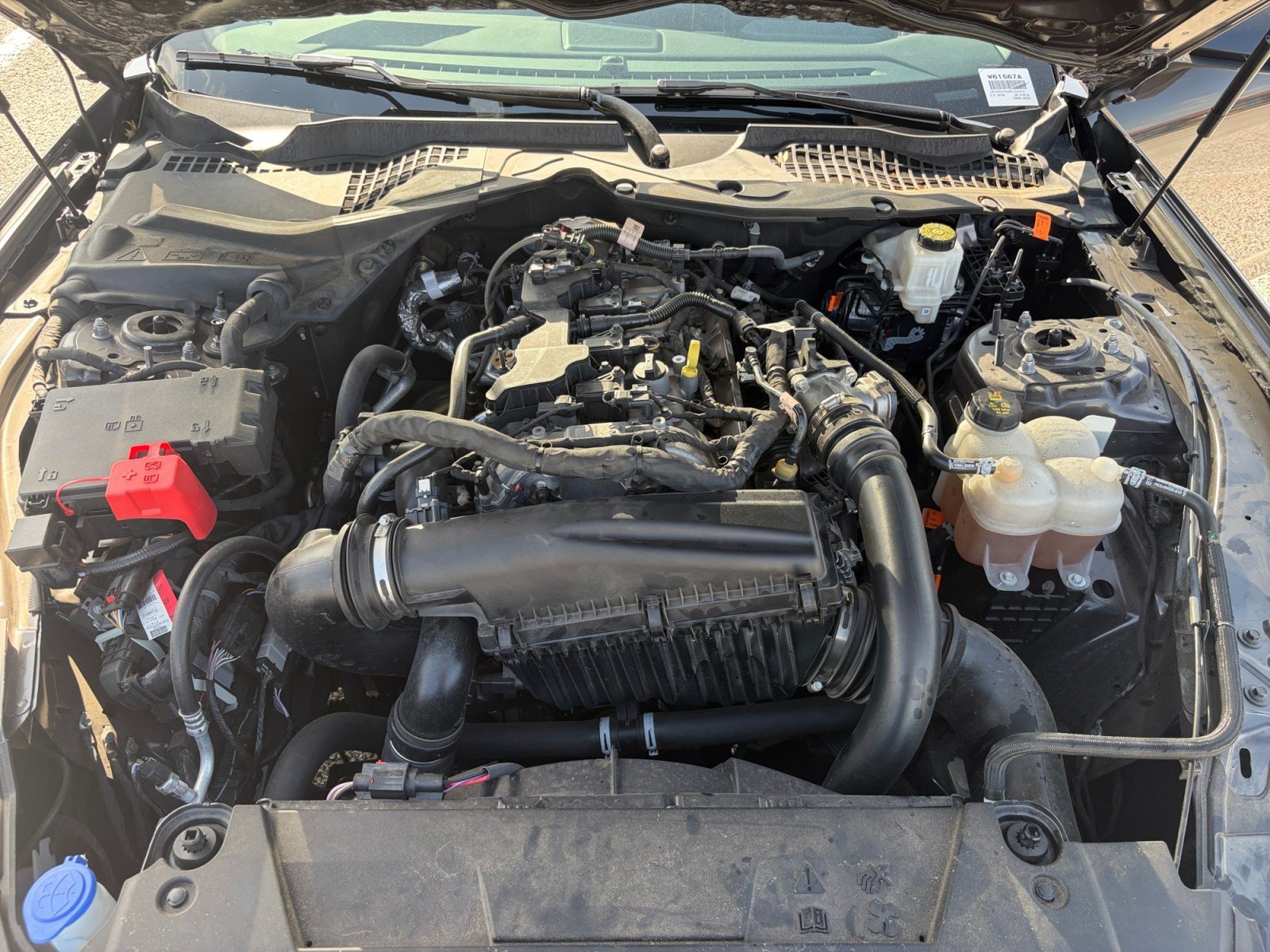 Certified 2024 Ford Mustang Coupe RWD image 24
