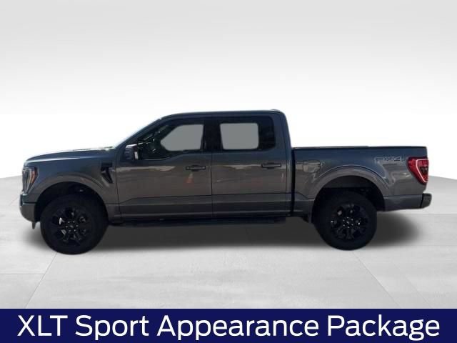 Certified 2022 Ford F150 XLT w/ Equipment Group 302A High AWD/4WD image 8