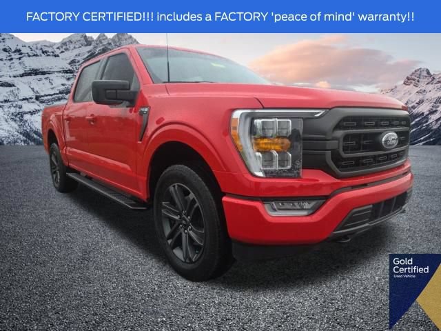 Certified 2023 Ford F150 XLT w/ Equipment Group 302A High