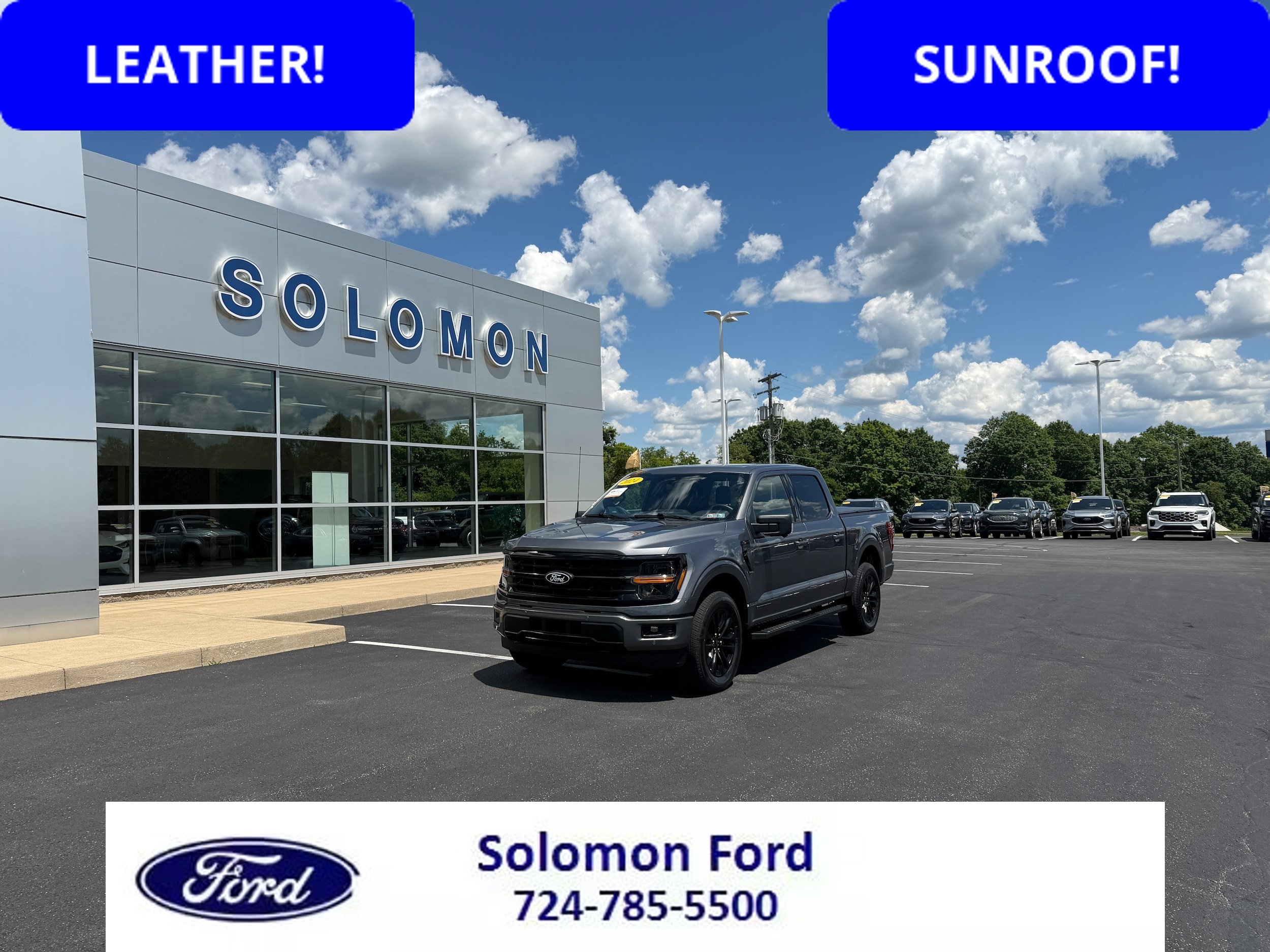 Certified 2024 Ford F150 XLT w/ Equipment Group 303A High AWD/4WD image 1