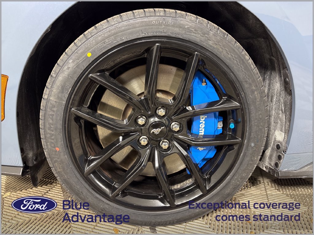 Certified 2024 Ford Mustang GT Premium RWD image 14