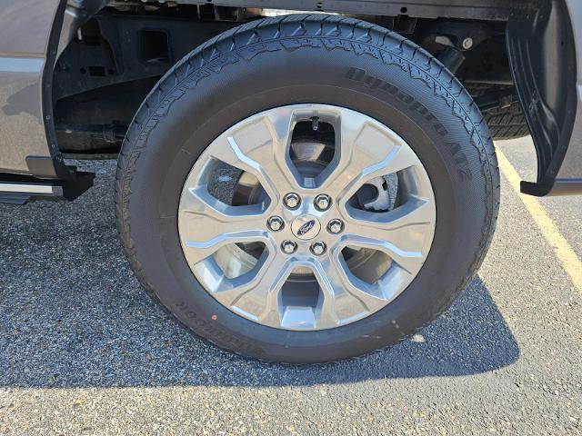 Certified 2023 Ford F150 Platinum w/ Equipment Group 701A High image 9