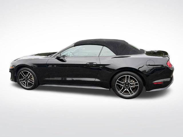 Certified 2023 Ford Mustang Premium RWD image 13