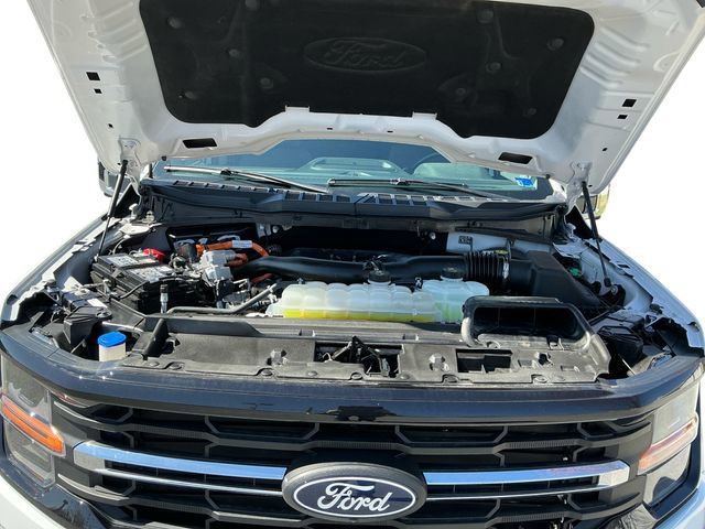 Certified 2025 Ford F150 XLT w/ Equipment Group 302A MID image 20