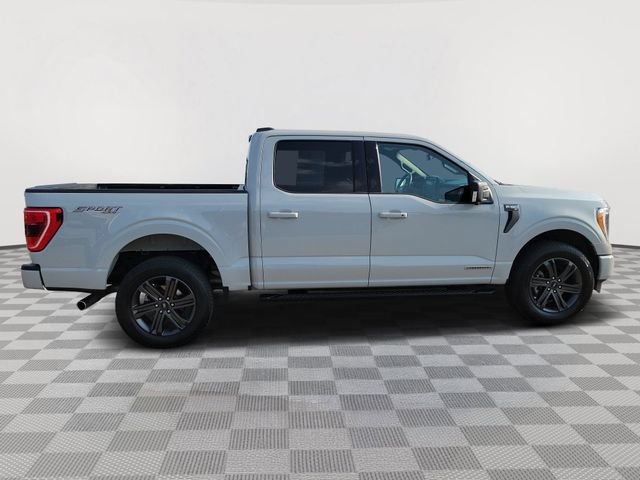 Certified 2023 Ford F150 XLT w/ Equipment Group 302A High AWD/4WD image 6