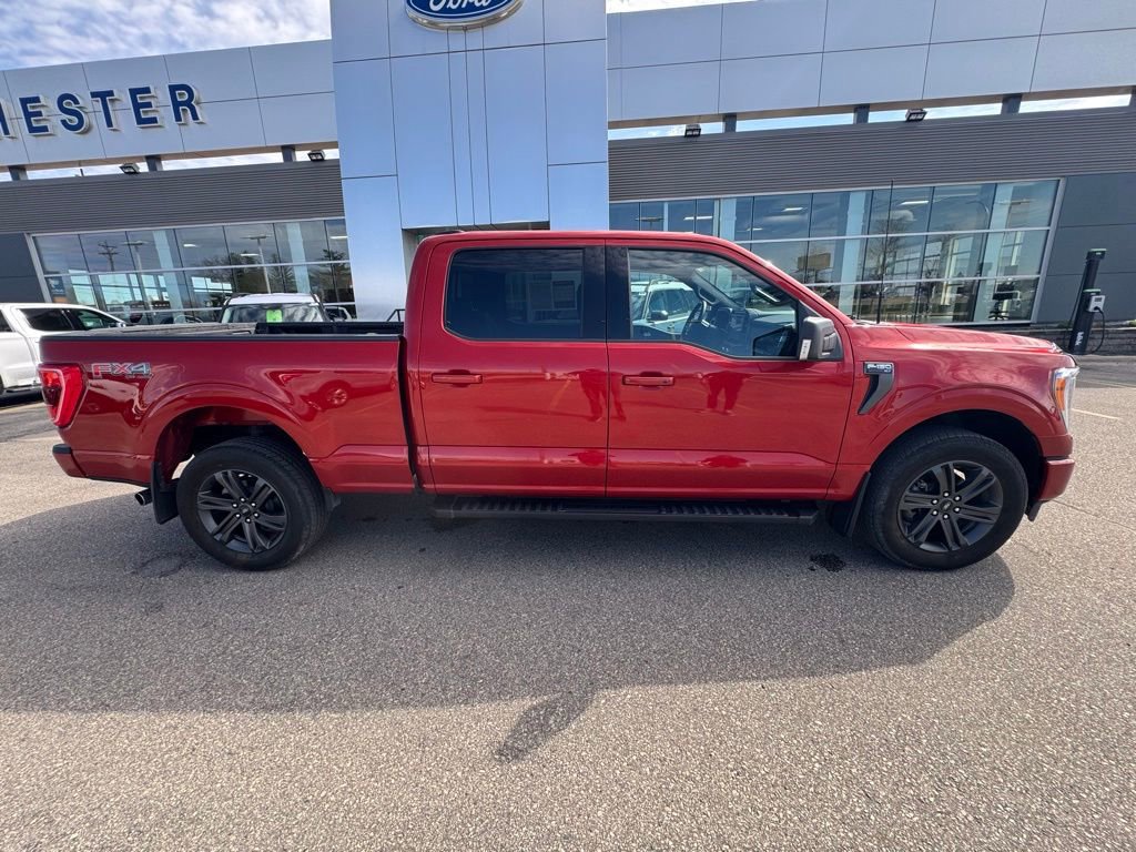 Certified 2023 Ford F150 XLT w/ Equipment Group 302A High image 4