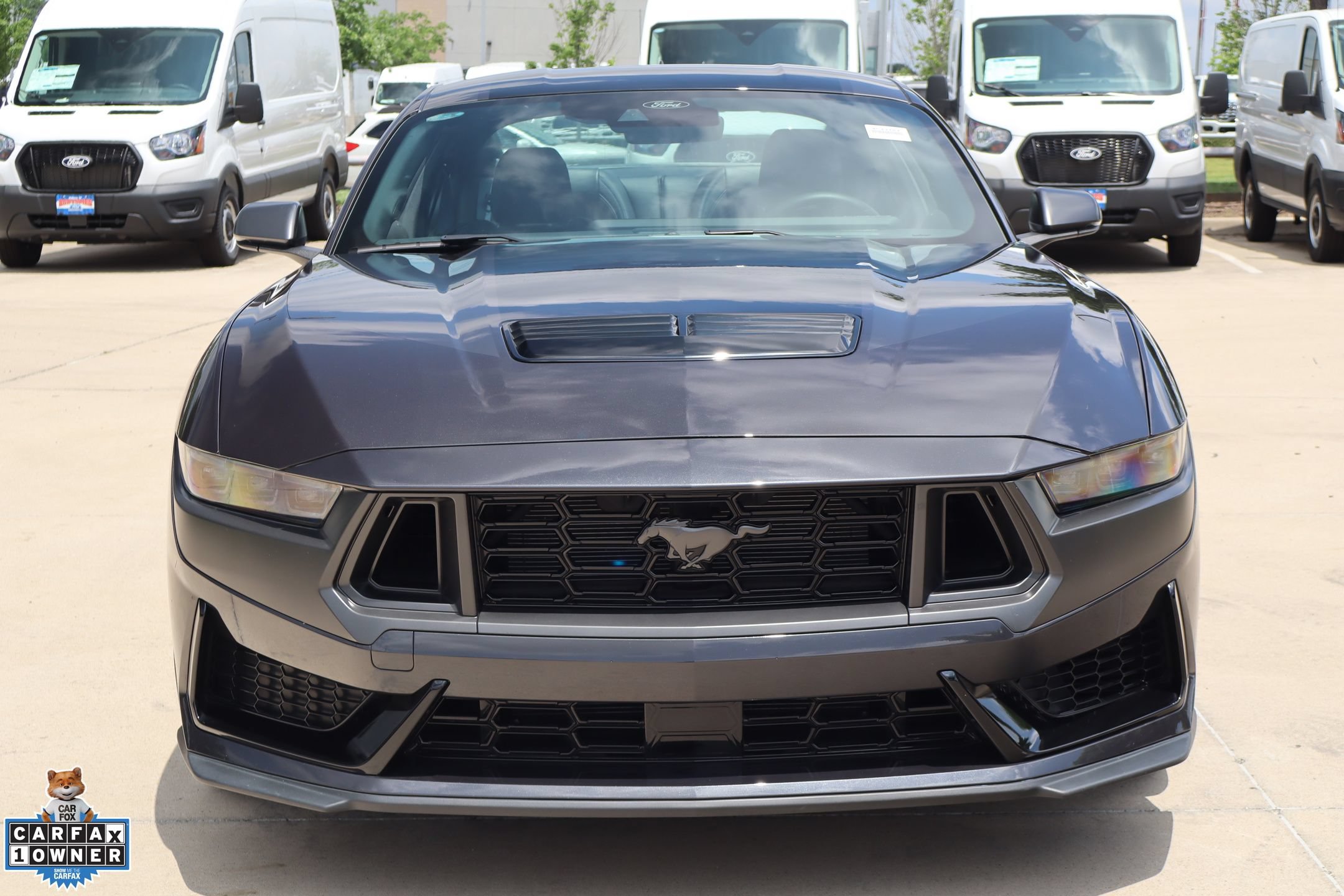 Certified 2024 Ford Mustang Dark Horse RWD image 10