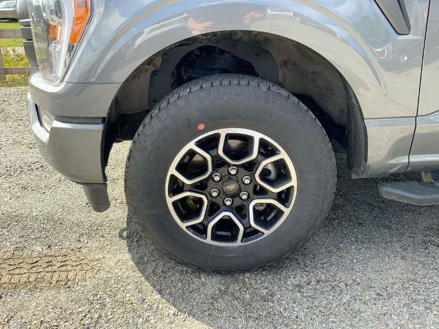 Certified 2023 Ford F150 XLT w/ Equipment Group 302A High AWD/4WD image 10