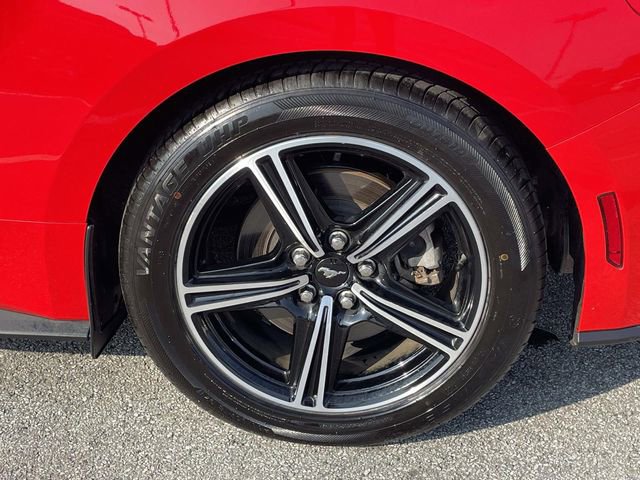 Certified 2024 Ford Mustang Premium image 9