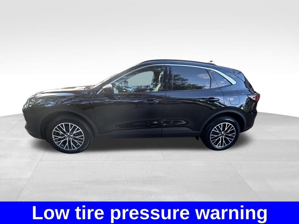 Certified 2024 Ford Escape SE image 6