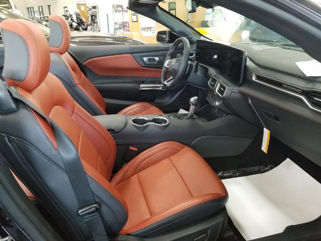 Certified 2025 Ford Mustang GT Premium w/ Mustang Nite Pony Package RWD image 14