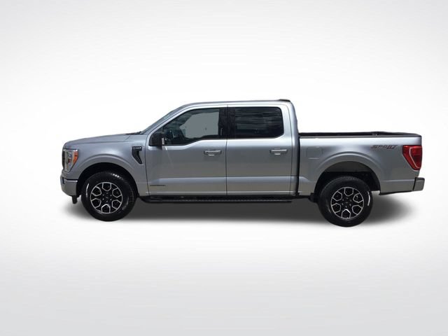 Certified 2023 Ford F150 XLT w/ Equipment Group 302A High AWD/4WD image 2