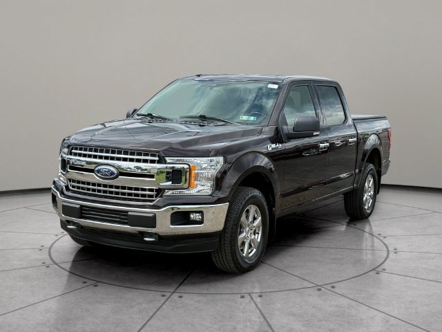 Certified 2019 Ford F150 XLT w/ Equipment Group 302A Luxury AWD/4WD image 3