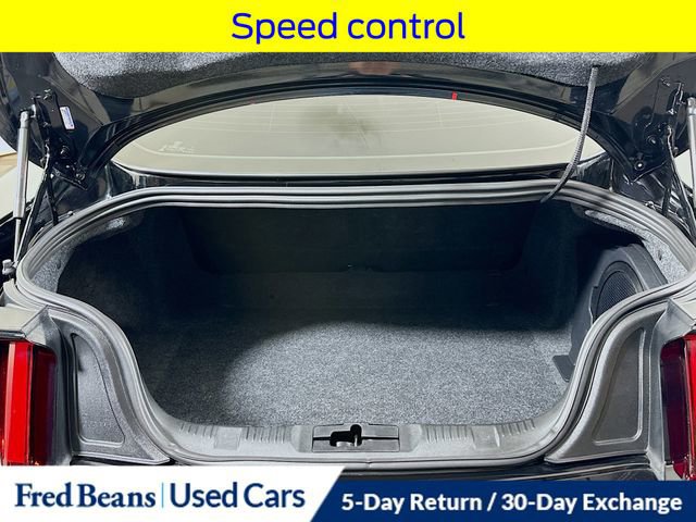 Certified 2020 Ford Mustang Shelby GT350R w/ GT350R Equipment Group 920A image 26