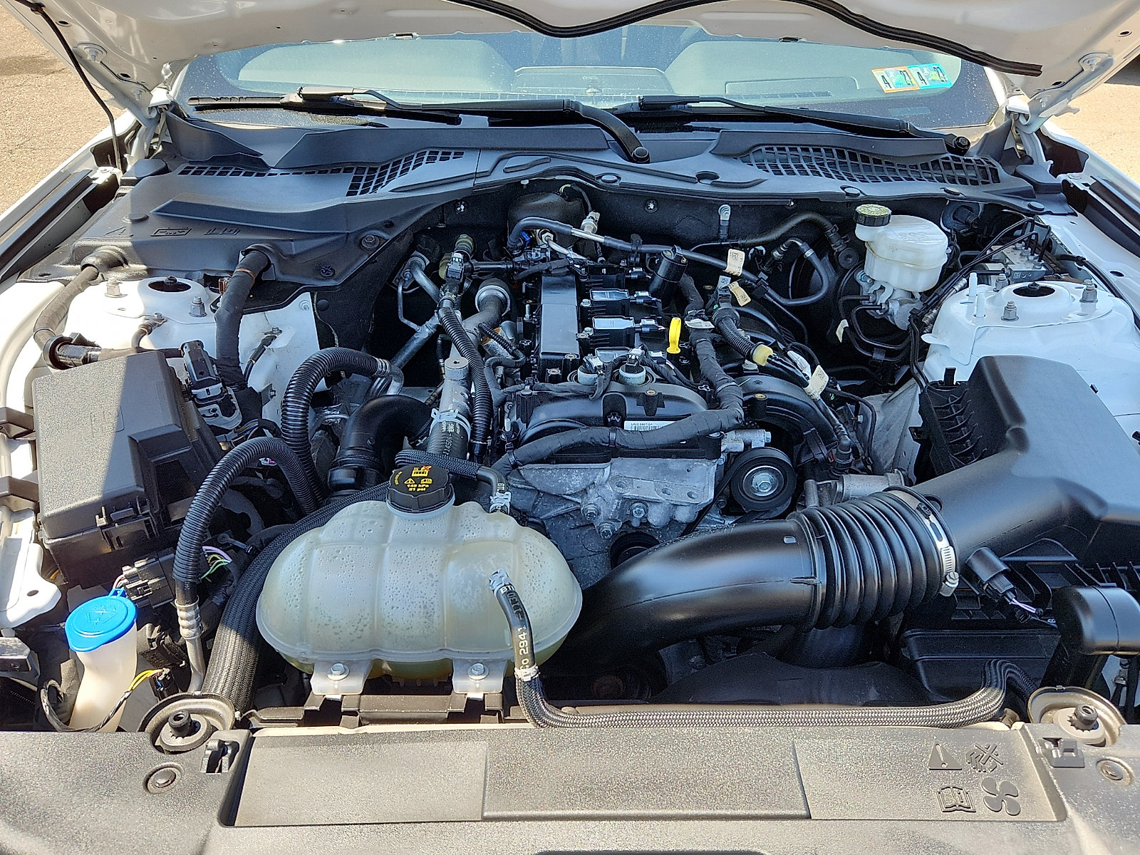 Certified 2021 Ford Mustang Premium w/ Pony Package RWD image 26
