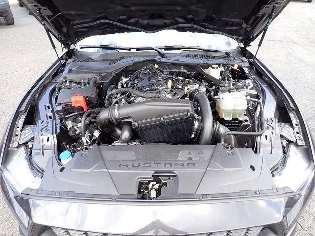 Certified 2024 Ford Mustang Premium image 15