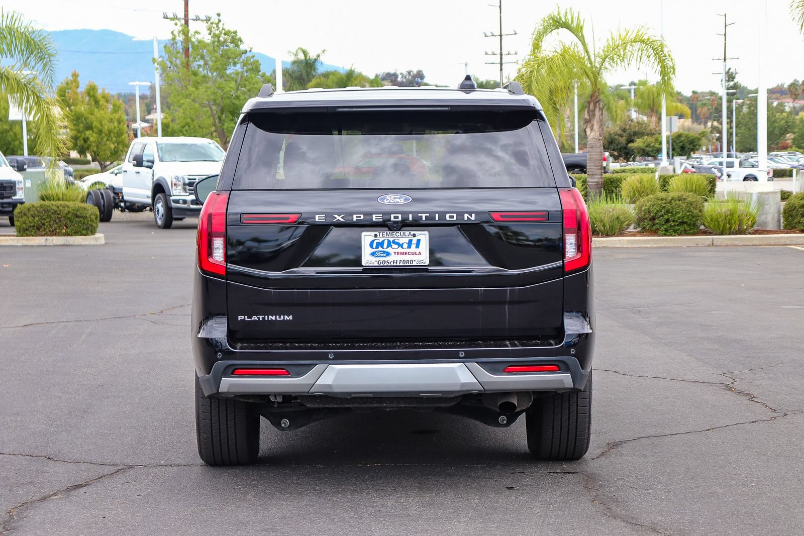 Certified 2025 Ford Expedition Platinum AWD/4WD image 5