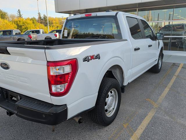 Certified 2023 Ford F150 XL AWD/4WD image 7