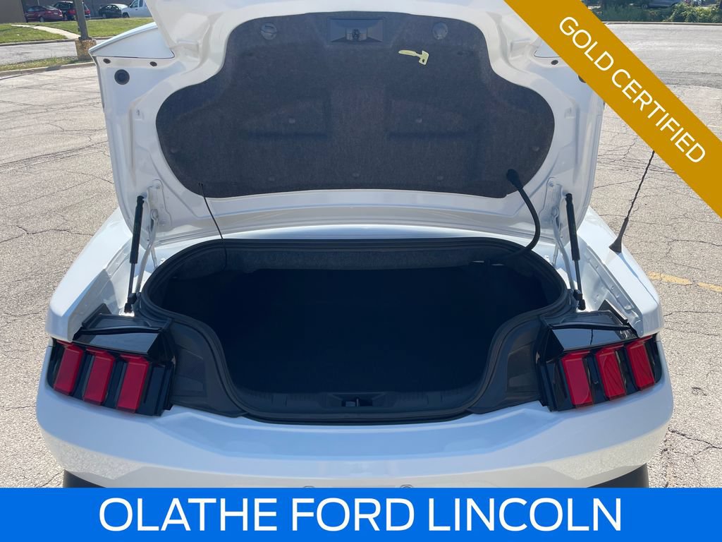 Certified 2025 Ford Mustang Convertible w/ Mustang Nite Pony Package RWD image 18
