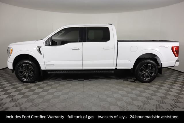 Certified 2023 Ford F150 XLT w/ Equipment Group 302A High video 2