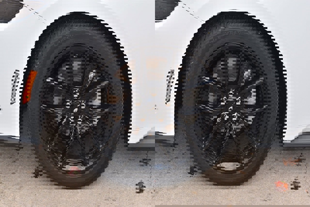 Certified 2025 Ford Mustang Premium w/ Mustang Nite Pony Package image 34