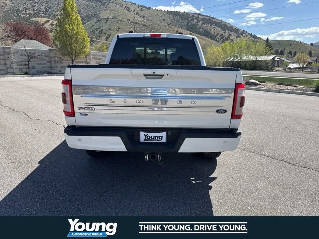 Certified 2023 Ford F150 Limited AWD/4WD image 7