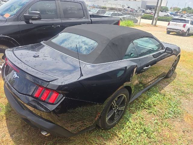 Certified 2025 Ford Mustang Premium RWD image 3