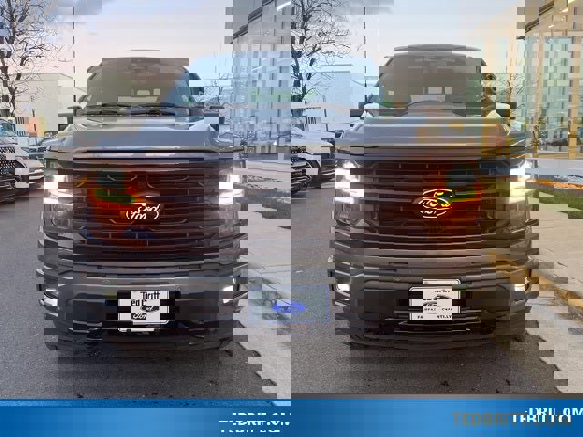 Certified 2024 Ford F150 XLT w/ Equipment Group 303A High image 8